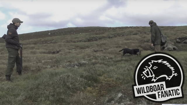 Flintenjagd in den Highlands von Schottland