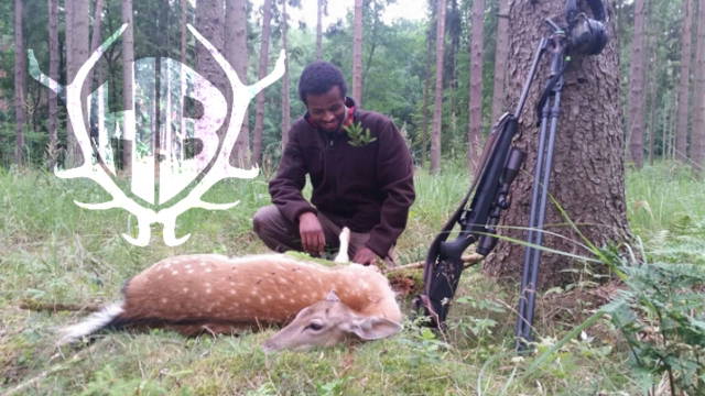 Sissay auf Damwildpirsch