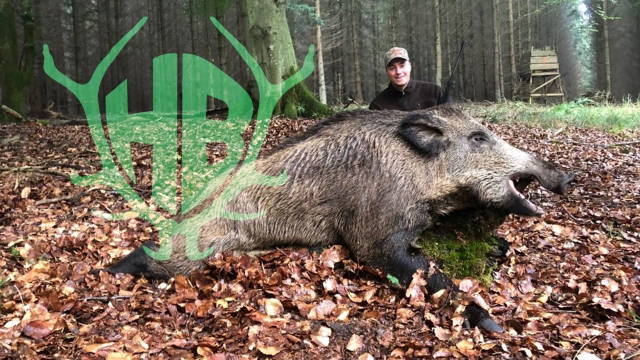 Die Kameramänner schießen einen Keiler - Team Hunter Brothers