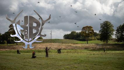 Entenjagd in Schweden