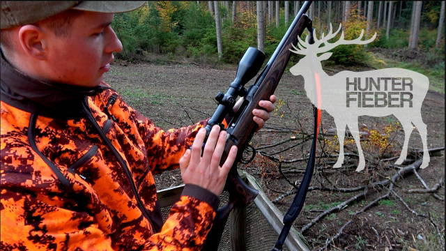 Drückjagd im herbstlichen Oktober