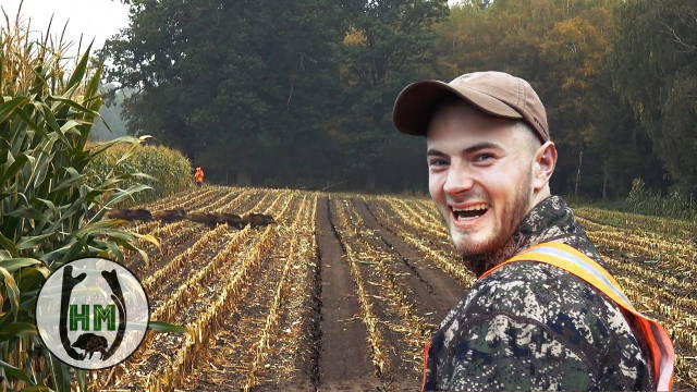 🐗Maishäcksel  - Erntejagd auf Sauen  