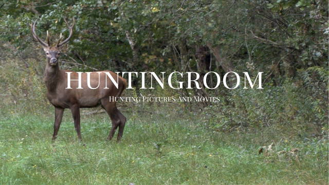 Seasons - Jagd auf Bock, Hirsch und weibliches Schalenwild 