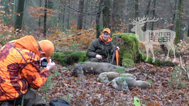 Drückjagd in ganz Deutschland