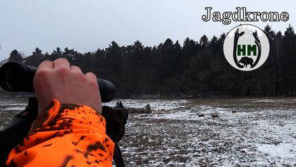 Ansturm aus der Forst | Drückjagd bei den Reilmanns - Teil 2/2