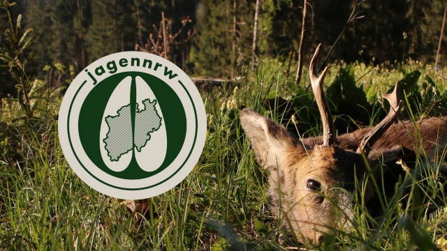 Bockjagd im April