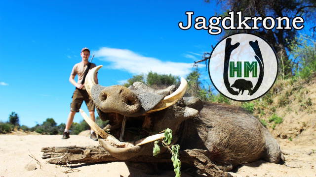 Tag 6 - Dicke Keiler im Busch