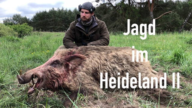 Jagd im Heideland II