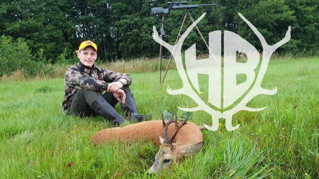 Blattjagd in Polen