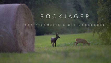 BOCKJÄGER 6 - Der Feldmeier & Die Moorböcke
