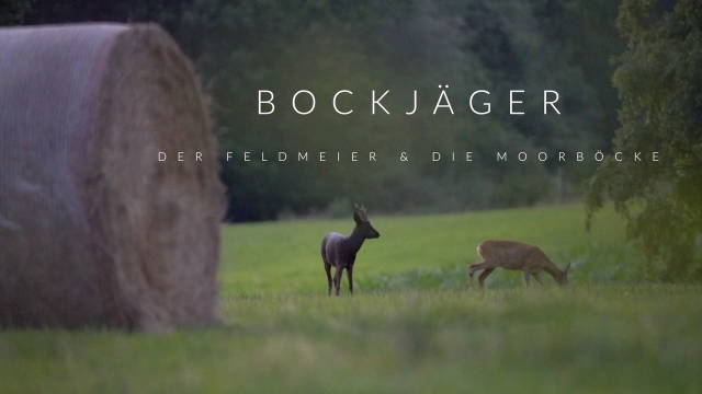 BOCKJÄGER 6 - Der Feldmeier & Die Moorböcke