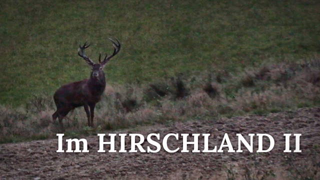 Im Hirschland II