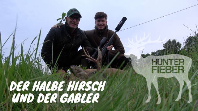 Der halbe Hirsch und der Gabler