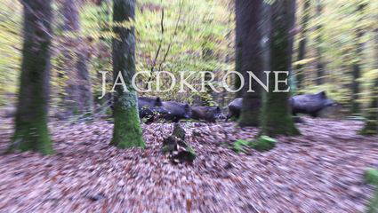 Drückjagd | Bebendes Herbst Laub 🍂 