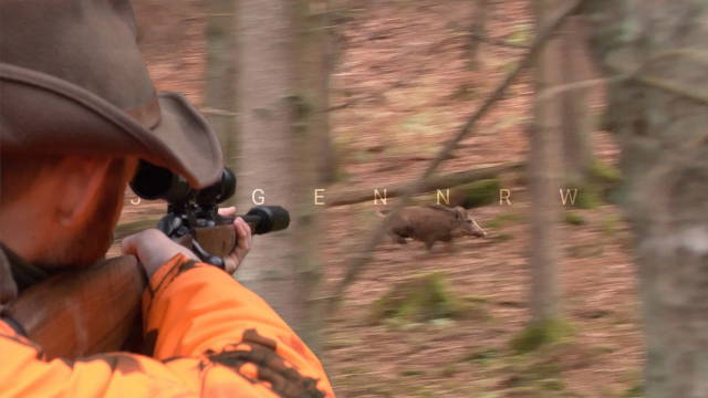 Klüngeln mit Jens – Drückjagd 