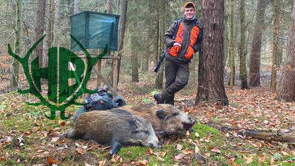 Drückjagd - 2 Frischlinge für Gerold