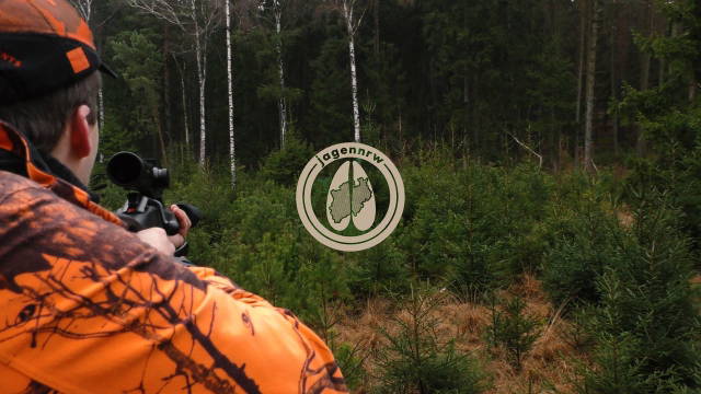 Saisonabschluss im Reilmann-Forst - Drückjagd 2020