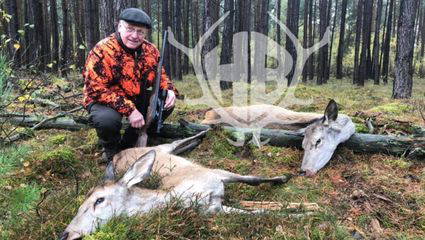 Drückjagd bei W&O Dittmann
