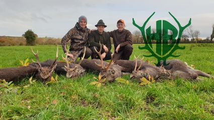 auf irische Sikahirsche und Wildziegen