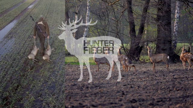 Jagd auf Rehwild bei der Pirsch 