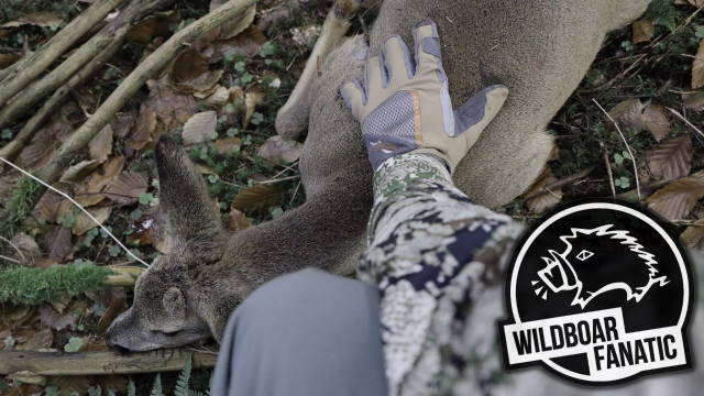Zur Drückjagd im Huntingroom 'KURZFILM'
