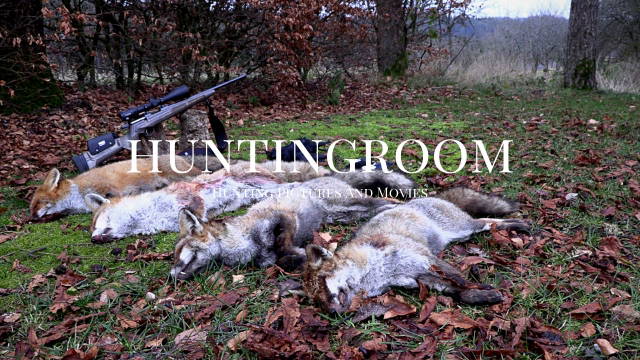 Fuchsjagd im "verschneiten" Deutschland + Fuchs abbalgen -