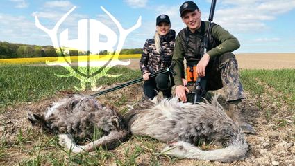 Jagd auf Nandus in Mecklenburg 