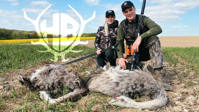 Jagd auf Nandus in Mecklenburg 