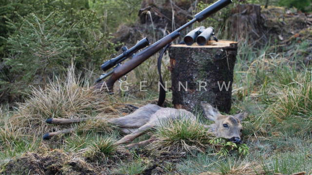 Am 1. Mai auf Sikas im Sauerland 