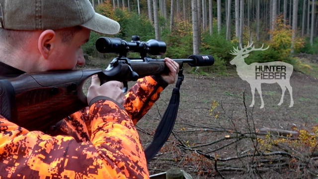 Drückjagd im herbstlichen Huntingroom