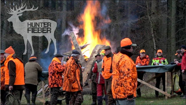 Hunterfieber im Osten auf Drückjagd