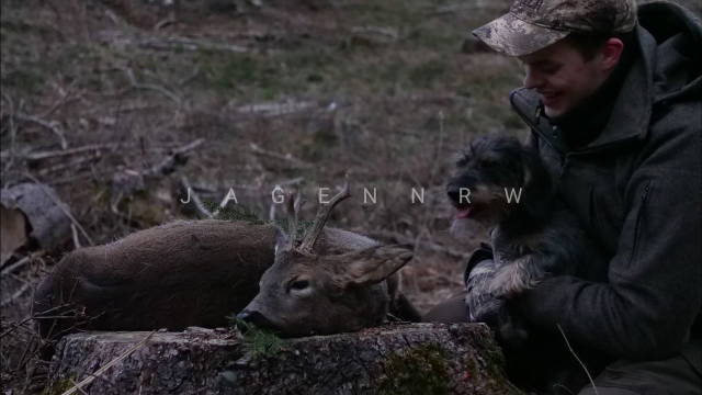 Jagdpolitik im Fokus - Bockjagd im April