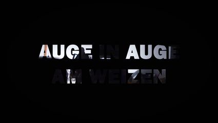 Auge in Auge am Weizen
