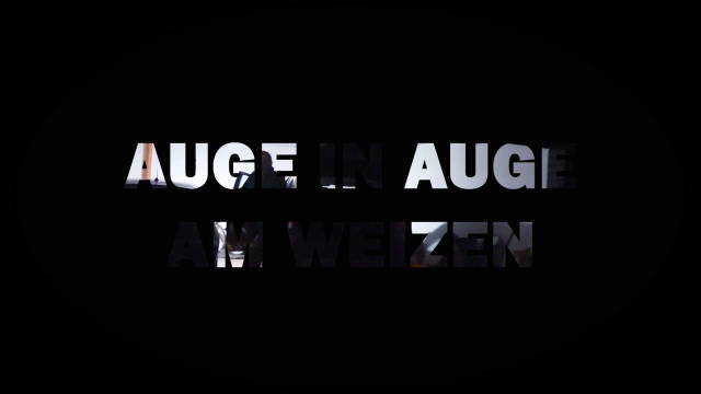 Auge in Auge am Weizen