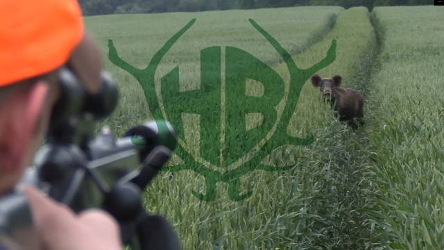 Weizenschweine 6.0 