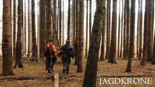Drückjagd Beginn | Die Spannung steigt