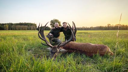 Hirschbrunft in Polen I Die dreiteilige Doku 