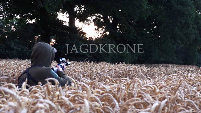 Bockjagd | Pirsch unterhalb der Ähren