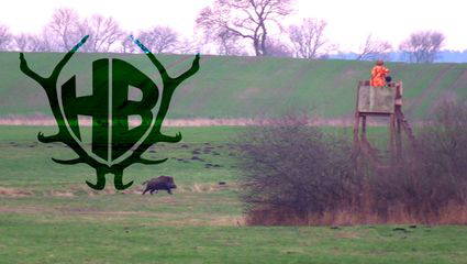 Drückjagd im Schilf 2.0