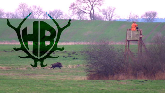 Drückjagd im Schilf 2.0