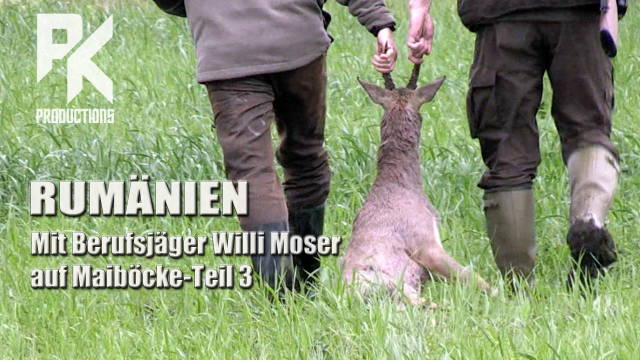 RUMÄNIEN - Teil 3 - Mit Berufsjäger Willi Moser auf Maiböcke