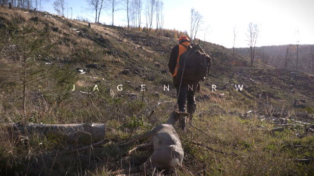 Panorama-Drückjagd mit Karl-Hermann 