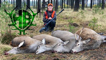 Rotwilddrückjagd in der Jännersdorfer Heide