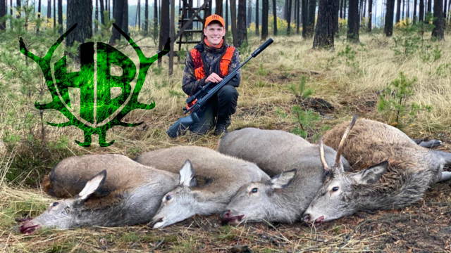 Rotwilddrückjagd in der Jännersdorfer Heide