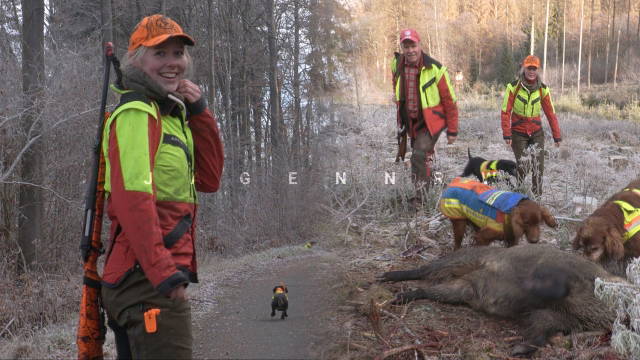 Drückjagd mit der Lohmann-Meute – Zwischen Irish Settern und Dackeln