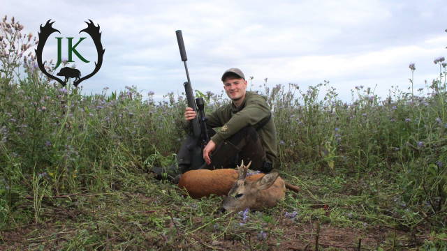 Bockjagd | Jagdzeit im Hochsommer 