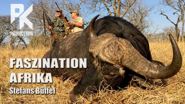 Patrick Kastner Jagd & Hund Premiere 2021 I FASZINATION AFRIKA  – Stefans Büffel
